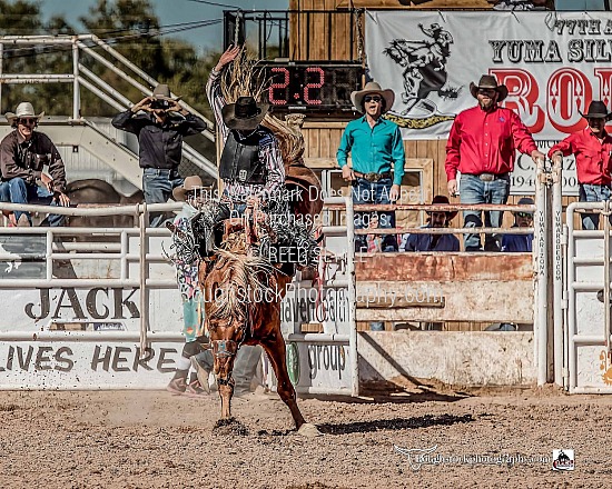 Saddle Broncs