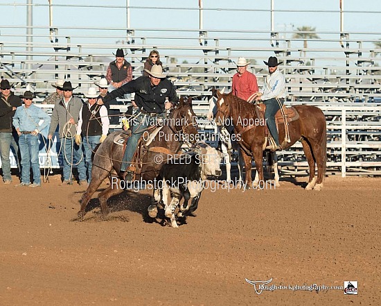 Steer Roping Round 1