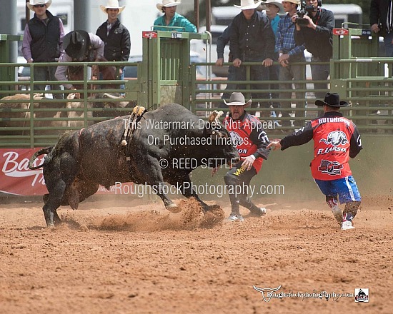 BullFighters