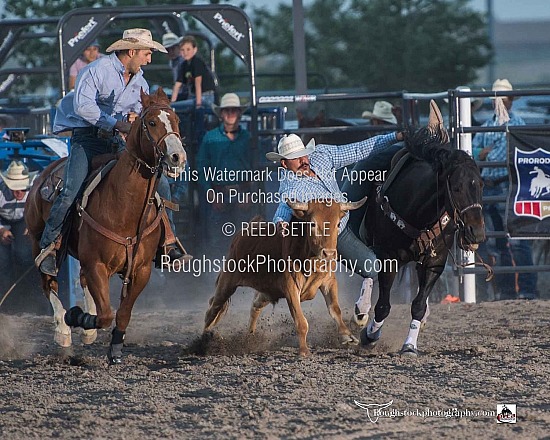 Steer Wrestling