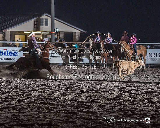 Tie Down Roping