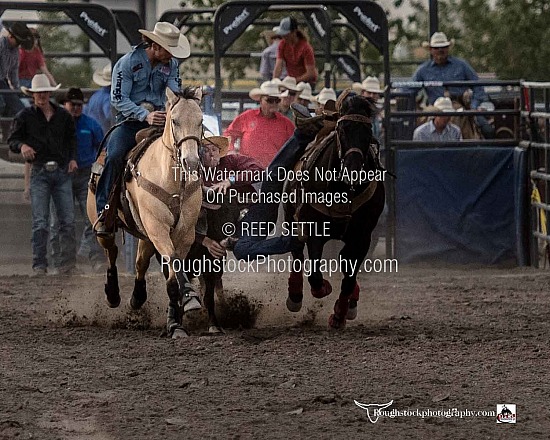 Steer Wrestling