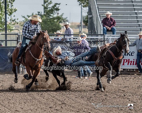 Steer Wrestling