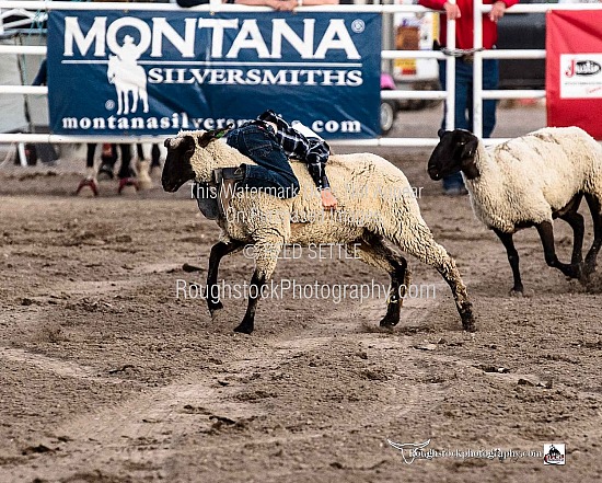 Mutton Bustin