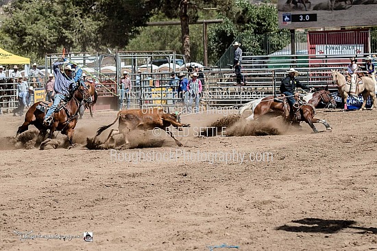 Team Roping