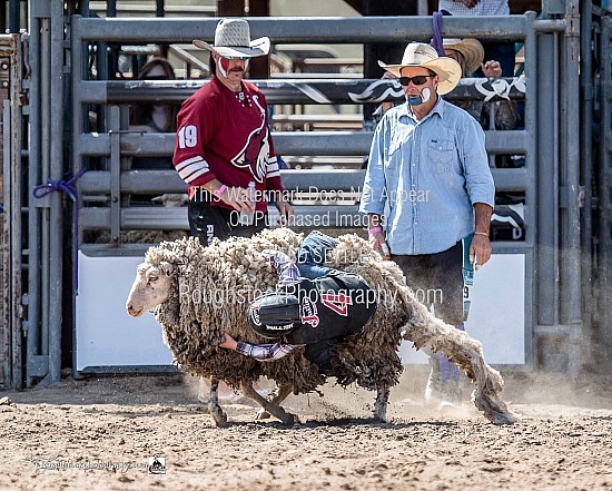 Mutton Bustin