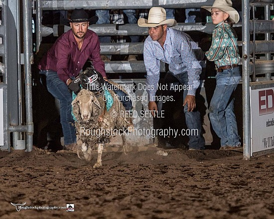 Mutton Bustin