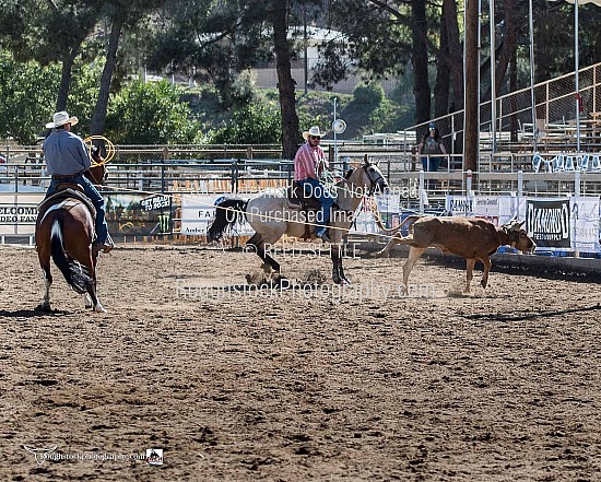 Team Roping