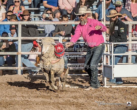 Mutton Bustin