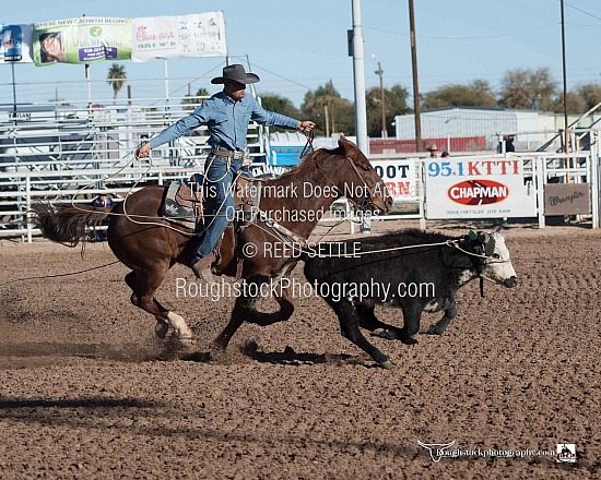 Steer Roping Round 2