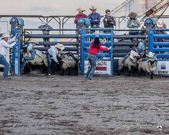 Mutton Bustin