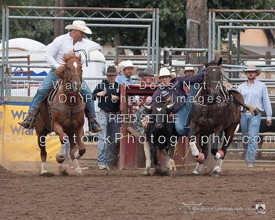 Steer Wrestling