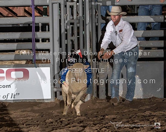 Mutton Bustin