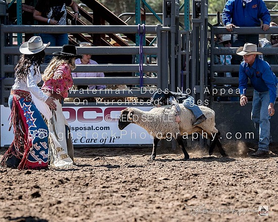 Mutton Bustin