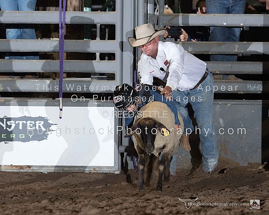 Mutton Bustin