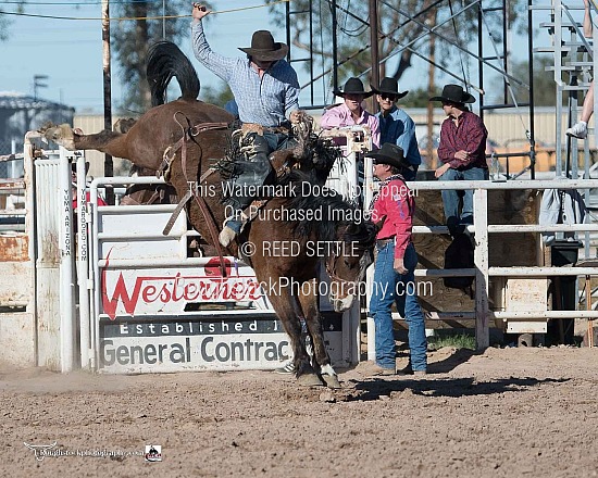 Saddle Bronc Sec 2