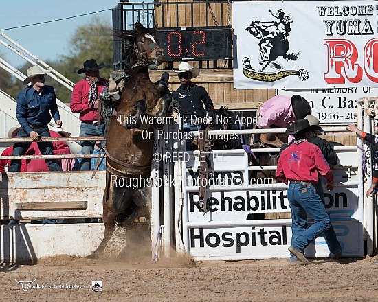 Saddle Bronc Sec 1