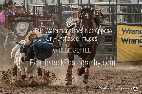 Steer Wrestling