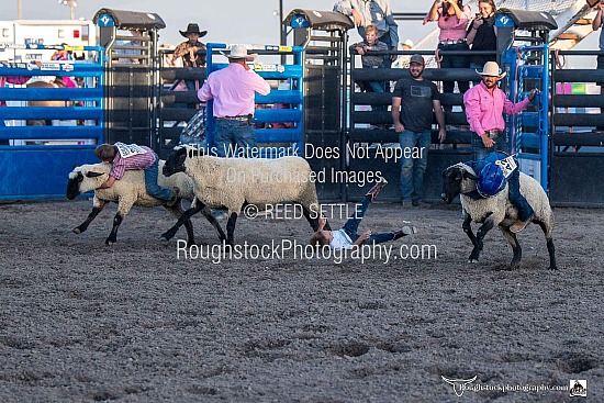 Mutton Bustin