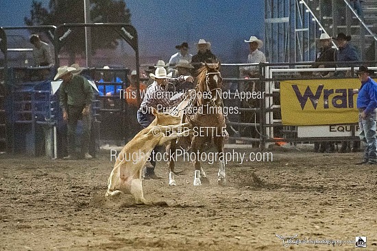 Tie Down Roping