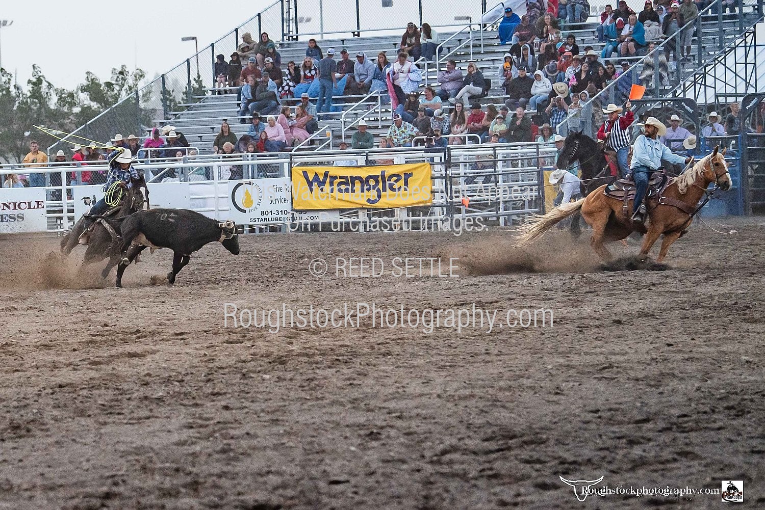 Team Roping - Rodeo/Event - 2025 - Days of the Old West PRCA Rodeo ...