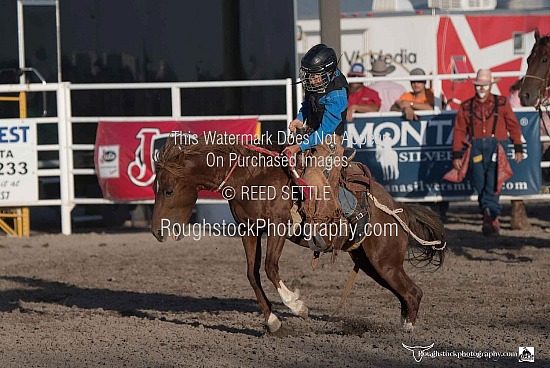 Pony Bronc