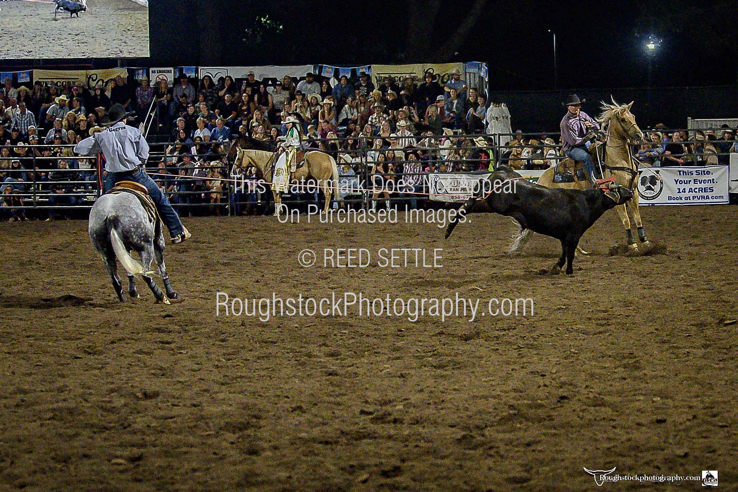 Team Roping - Rodeo/Event - 2025 - POWAY PRCA RODEO - Perf 1 - Timed ...