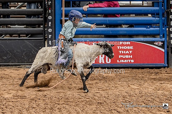 Mutton Bustin